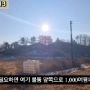 G1113 네이버블로그