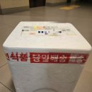 봄동 | [가족반찬 저염식반찬] 유기농키즈앤푸드 반찬세트 솔직 후기 (소고기봄동된장국·제육볶음 등)