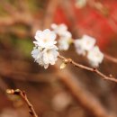 한내초교 이미지