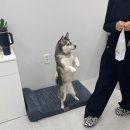 세븐일레븐 성동센트라스점 | 성동구 왕십리 다크제리뷰티 ★ 세미아치눈썹 잘하는곳 (feat.기존눈썹 잔흔커버)