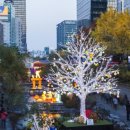 미소렌트카 이미지