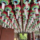 브라운도트 경주안강점 이미지