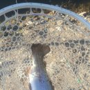 단강낚시터 이미지