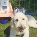 두들랜드 이미지