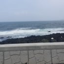 신양목장 이미지