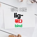 lig 어원 이미지