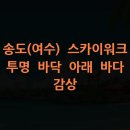 송도해수욕장-C구역 | 송도(여수) 스카이워크 투명 바닥 아래 바다 감상