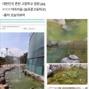 세리빠 Daum카페