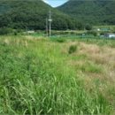 오비초등학교 병설유치원 이미지