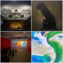 the 개 # | 여의도 전시후기 - <캣츠 앤 독스：THE GREAT CIVILIZATION>전