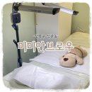 미미안브로우