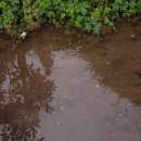 죽지않아 PC 이미지