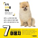 취향저견 | 🤍 뭉치뭉자 유치원 🤍