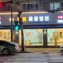 녹양돌봄동물병원 이미지