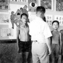 진도초등학교 이미지