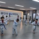 용인대 열정 태권도장 이미지