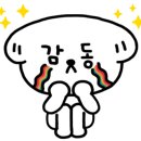 부산애견팡팡 이미지