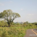 숲내음공원 이미지