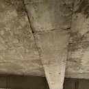 헤이멍멍 애견미용호텔 이미지