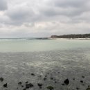 달시플러스 이미지