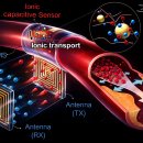 NATURE(네이처)PC 이미지