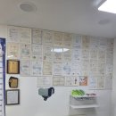 비춤안경콘택트 | 길음역안경 신뢰가는 안경점 비춤안경 후기