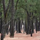 상주은모래비치3 이미지