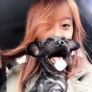 신전떡볶이왕지점 | 광양맛집 추천 / 봄도다리쑥국 풍성복집 / 신전떡볶이 / 영화 '콩' 후기 / 초롱짱 산책시키기 / 비오는...
