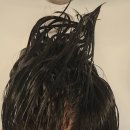 다산미용실 엠나헤어다산점에서 레이어드펌 + 프리미엄 클리닉 후기