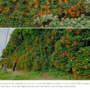 성수2가1동 공영주차장 화장실 이미지