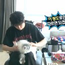고양이집 네이버블로그