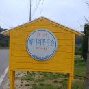 바다와푸른솔 이미지