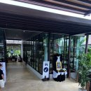 한교육타이거합기도장앞 | 태국 푸켓 타이거파크 후기 택시타고 떠난 자유여행