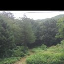 점말농장 이미지