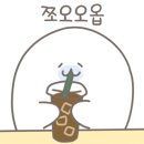 까페바우