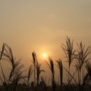 하늘공원 이미지