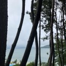 비고리조트 10 이미지