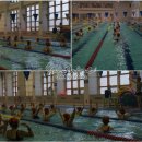 광양수영장 이미지