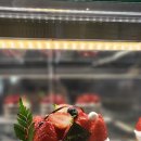 (주)세강 | 대구 빵집 순위 TOP찍은 달서구 빵집 빵장수 달서본점