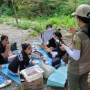 내장산국립공원 백암사무소 이미지