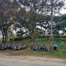 봉동축산 이미지