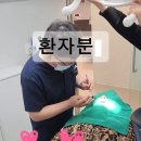 코끼리치과의원 네이버블로그