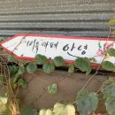 서하네 민박 이미지