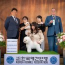 안녕하세요 이미지