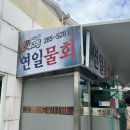 연일매운탕 | [포항 물회] ‘연일물회’ | 서비스, 가게 분위기가 많이 아쉬웠던 솔직후기