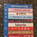 더요가 | 성신 더센트럴무브먼트 플라잉요가 후기 로우플라잉요가 발레바레