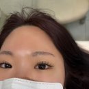 비비드 속눈썹 이미지