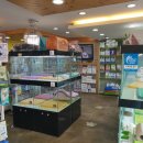 엔젤독스애견 이미지