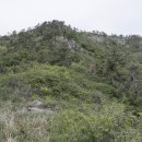 일오삼민박 이미지
