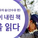 제252회:추읍산산수유마을이야기('23.3.26.일) 이미지